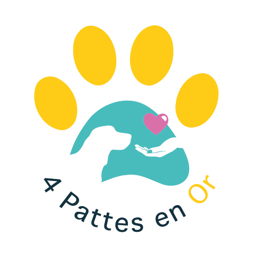 4 pattes en or